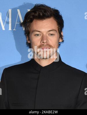 01 novembre 2022 - Los Angeles, California - Harry Styles. Los Angeles Premiere di ''il mio poliziotto' (Credit Image: © Billy Bennight/AdMedia via ZUMA Press Wire) Foto Stock