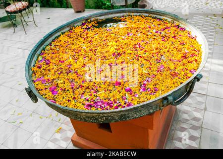 germogli di fiori tropicali galleggianti in un bacino per l'armonia Foto Stock