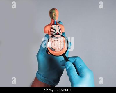 Manuale medico studiando e ingrandendo l'intestino modello 3D. Concetto di malattia digestiva. Foto Stock