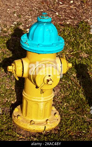 idrante per vigili del fuoco in giallo e blu Foto Stock