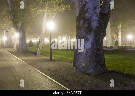 Notte nel mese di novembre Foto Stock