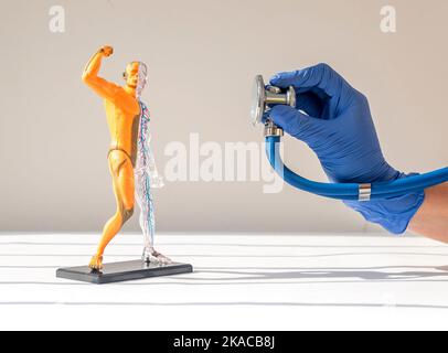 Ascolto del corpo umano senza pelle modello 3D con sistema circolatorio e muscolare. Concetto di anatomia e diagnostica. Foto Stock