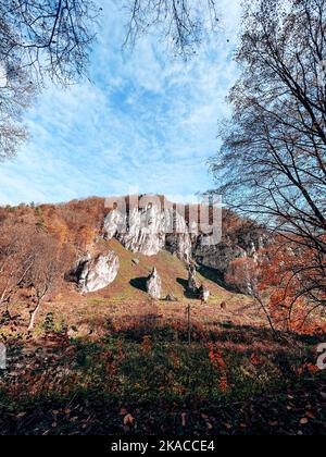 Foresta autunnale e roccia bianca, Polonia, Ojcow, Parco Nazionale. Foto Stock