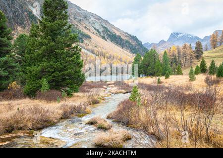 Bellissimo torrente di montagna che scorre dal lago Palpuogna al Passo dell'Albula nel cantone dei Grigioni, in Svizzera Foto Stock