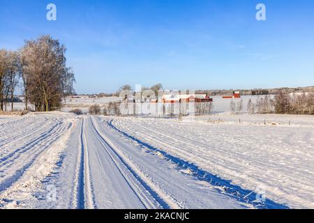 Piste per auto su una strada innevata in campagna Foto Stock