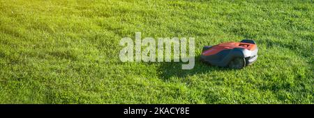 rasaerba robotizzato. Un rasaerba taglia l'erba in un parco cittadino al tramonto. Foto Stock