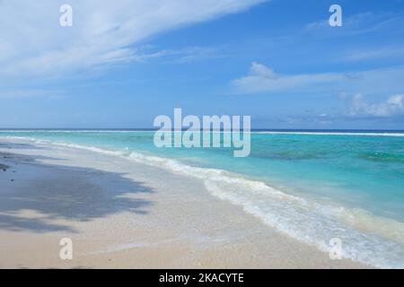 Rasdhoo è famoso per i suoi habitat di squali neri e bianchi della punta della barriera corallina. E' una piccola isola nell'Atollo di Ari Settentrionale con bellissime spiagge. Foto Stock