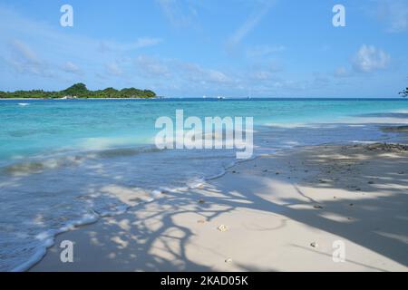 Rasdhoo è famoso per i suoi habitat di squali neri e bianchi della punta della barriera corallina. E' una piccola isola nell'Atollo di Ari Settentrionale con bellissime spiagge. Foto Stock