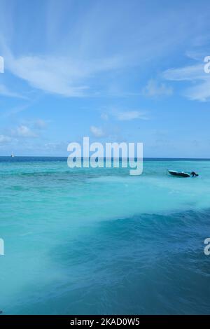 Rasdhoo è famoso per i suoi habitat di squali neri e bianchi della punta della barriera corallina. E' una piccola isola nell'Atollo di Ari Settentrionale con bellissime spiagge. Foto Stock