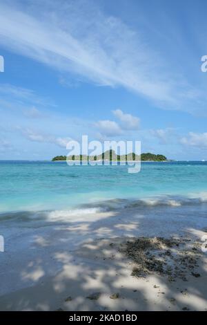 Rasdhoo è famoso per i suoi habitat di squali neri e bianchi della punta della barriera corallina. E' una piccola isola nell'Atollo di Ari Settentrionale con bellissime spiagge. Foto Stock