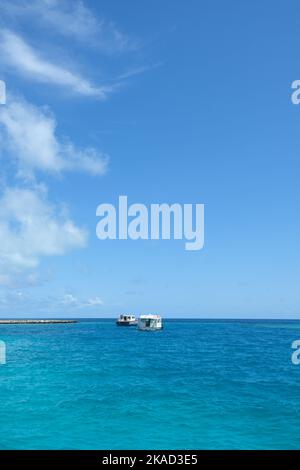 Rasdhoo è famoso per i suoi habitat di squali neri e bianchi della punta della barriera corallina. E' una piccola isola nell'Atollo di Ari Settentrionale con bellissime spiagge. Foto Stock