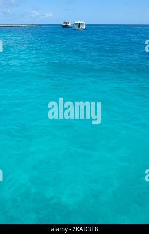 Rasdhoo è famoso per i suoi habitat di squali neri e bianchi della punta della barriera corallina. E' una piccola isola nell'Atollo di Ari Settentrionale con bellissime spiagge. Foto Stock