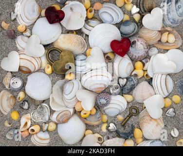 Conchiglie sulla sabbia con lucchetto e chiave Foto Stock