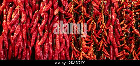 peperoncino rosso appeso al mercato delle spezie. banner Foto Stock
