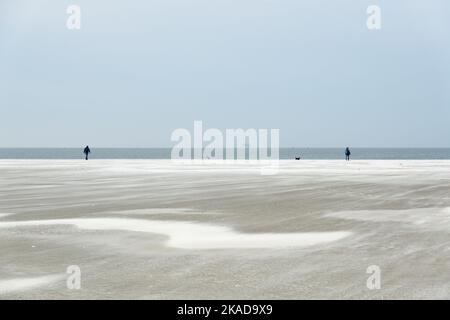 Due persone e due cani, camminando in lontananza su un'ampia spiaggia con sabbia da deriva Foto Stock