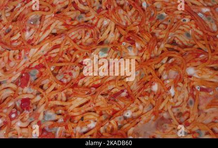 un primo piano con muffa su spaghetti, cibo, alterato, muffa Foto Stock