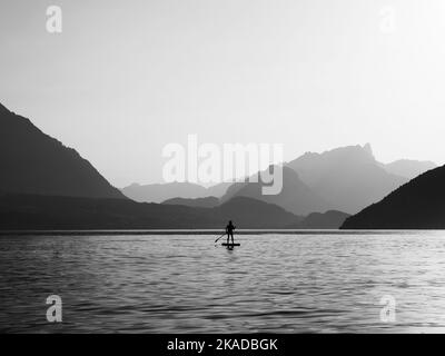 Un colpo in scala di grigi di una persona che si addella su una tavola nel mezzo di un lago circondato da una vegetazione lussureggiante Foto Stock