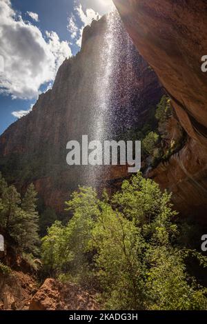 Piccole splendide cascate che scorrono sulle scogliere di arenaria rossa della Zion National Forest, Utah, USA Foto Stock