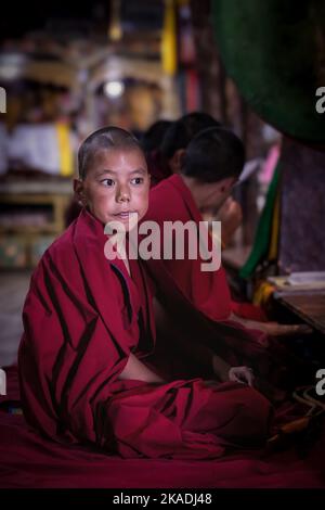 Un giovane monaco al monastero di Thikse (Thiksay Gompa) durante la mattina puja, Ladakh, India Foto Stock