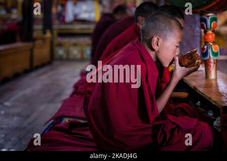 Un giovane monaco che beve il tè durante la mattina puja, monastero di Thikse (Thiksay Gompa), Ladakh, India Foto Stock