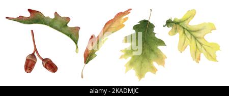 Set di coloratissime foglie autunnali isolate su sfondo bianco. Illustrazione acquerello con disegno a mano. Adatto per decorare in autunno Illustrazione Vettoriale