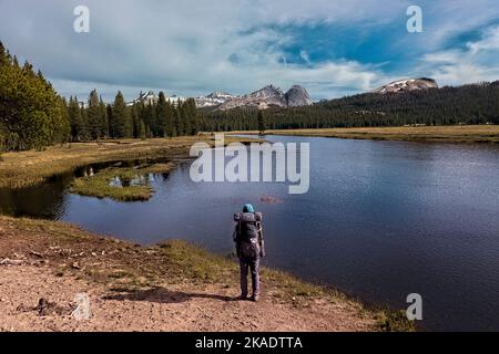 Guardando verso Cathedral Peak e Fairview Dome attraverso il fiume Tuolomne, Tuolomne Meadows, Yosemite National Park, California, Stati Uniti Foto Stock