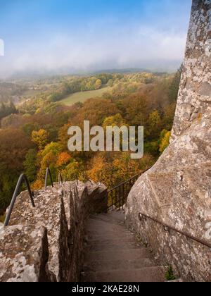 Italia, Toscana, Arezzo, Casentino, il Santuario della Verna. Foto Stock