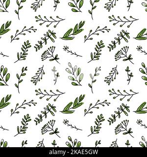 disegno a mano vegetazione botanica foglie senza cuciture modello Illustrazione Vettoriale