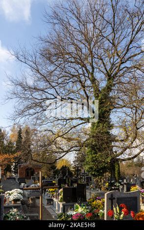 Polonia, Raszyn 11 02 2022: Giornata di tutti i Santi nel piccolo cimitero. Foto Stock