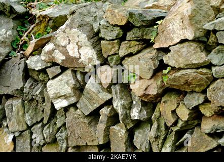 Muro di pietra sul sentiero costiero Devon sud Foto Stock