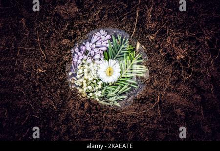 fotografia concettuale sull'ambiente e sul risparmio della natura Foto Stock