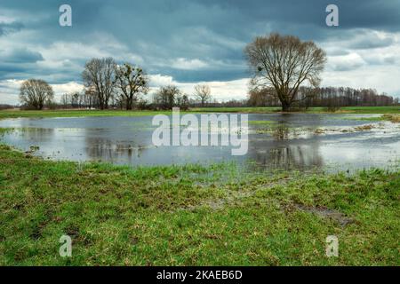 Cielo nuvoloso su un prato verde allagato, primavera vista rurale Foto Stock