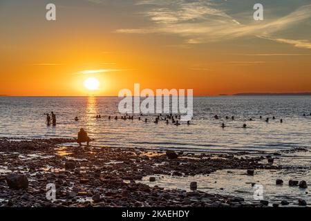 Bagnanti in mare presso la spiaggia di Penarth all'alba in una mattinata estiva. Foto Stock