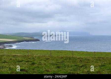 Vista costiera dalla RSPB Scotland Marwick Head Nature Reserve, Orkney, Scotland, UK Foto Stock