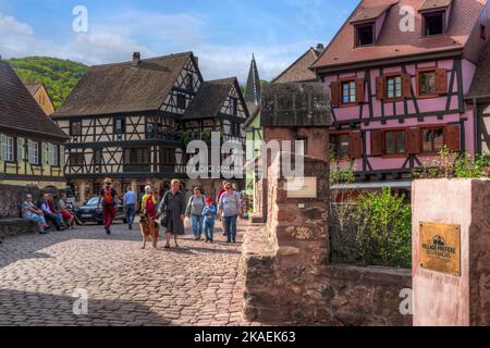 Kaysersberg, Alsazia, Alto Reno, Grand Est, Francia Foto Stock
