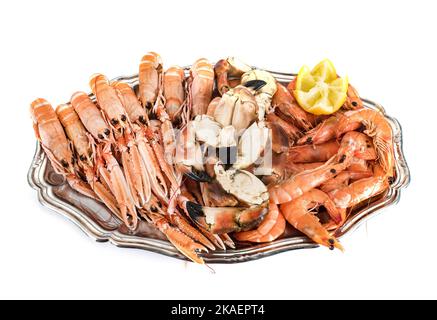 sgoustine fresche in studio Foto Stock