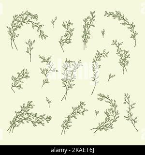 set botanico con disegni d'arte a linee minimal Illustrazione Vettoriale