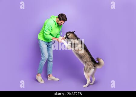 Foto a tutta lunghezza di bella felpa positiva felpa ragazzo verde felpa con cappuccio giocando con il suo cane Husky tenere zampe isolato su sfondo di colore viola Foto Stock