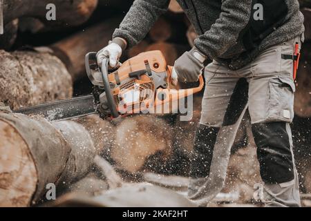 Giovane uomo che taglia l'enorme legno abbattuto da motosega, creare stock di legno d'inverno, concetto industriale Foto Stock