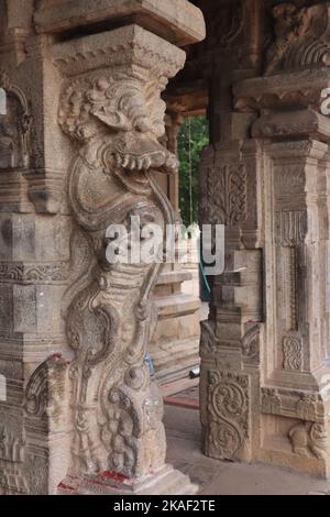 Una fantastica immagine Yali è scolpita sulle colonne del Tempio di Tanjore. Foto Stock