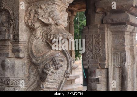 Una fantastica immagine Yali è scolpita sulle colonne del Tempio di Tanjore. Foto Stock