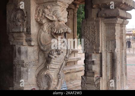 Una fantastica immagine Yali è scolpita sulle colonne del Tempio di Tanjore. Foto Stock