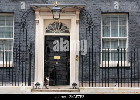 Downing Street, Londra, Regno Unito. Larry, marrone e bianco gatto tabby e Capo Mouser per l'Ufficio del Gabinetto, al di fuori numero 10 Downing St. Foto: Amanda Rose Foto Stock