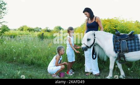 I bambini, un ragazzo e una ragazza di sette anni, nutriti di un pony bianco, danno da mangiare carote. Una vacanza in famiglia allegra e felice. All'aperto, in estate, vicino alla foresta. Foto di alta qualità Foto Stock