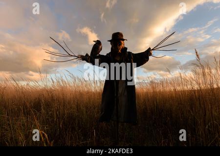 Spaventoso spaventoso spaventapasseri in un cappello su un campo di mais in tempo nuvoloso. Corvo nero sulla spalla. Sfondo di festa di Halloween Foto Stock