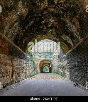 Tunnel del Parco inferiore di roccia non fiancheggiata e albero a metà strada aperto visto da volta fiancheggiata in mattoni e parte di tunnel superiore fiancheggiata in pietra Foto Stock