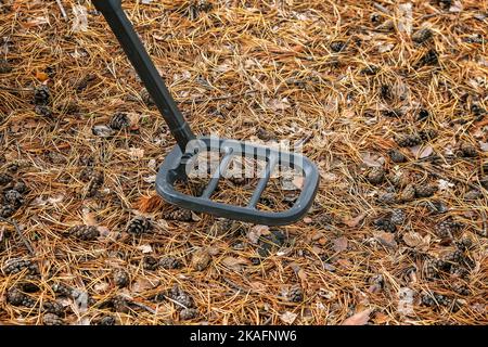 Rilevatore di metalli nella foresta. Un uomo è alla ricerca di un tesoro nella foresta. Un uomo in mimetizzazione con un metal detector. Foto Stock