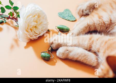 Jade Roller e pietra gua sha per massaggio viso con rosa. Zenzero gatto giocare con set di strumenti di bellezza. PET divertirsi con set Foto Stock