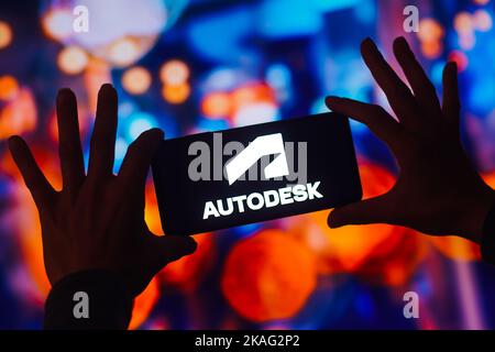 Brasile. 02nd Nov 2022. In questa immagine, il logo Autodesk viene visualizzato sullo schermo di uno smartphone. (Foto di Rafael Henrique/SOPA Images/Sipa USA) Credit: Sipa USA/Alamy Live News Foto Stock