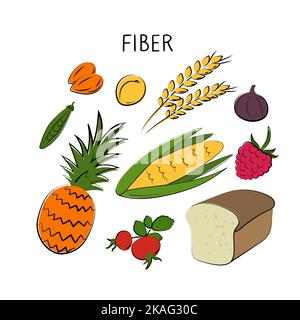 Cibo contenente fibre. Gruppi di prodotti sani contenenti vitamine e minerali. Set di frutta, verdura, carne, pesce e latticini. Illustrazione Vettoriale